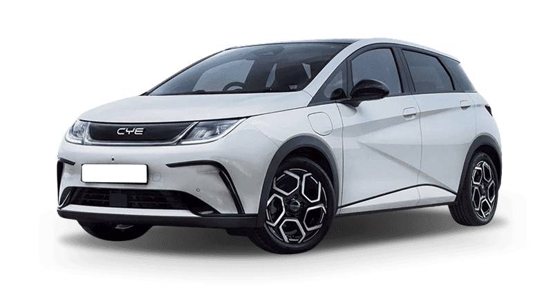 Renting Segunda Mano BYD Dolphin